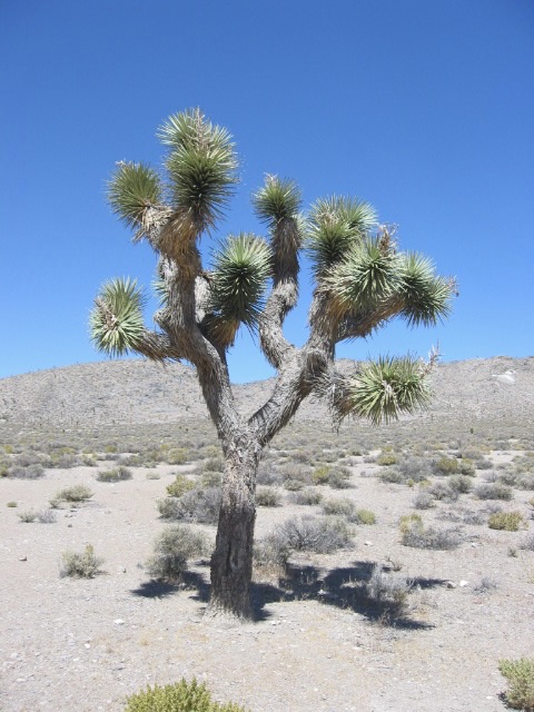 ‘Ik wil graag mensen&nbsp;helpen’